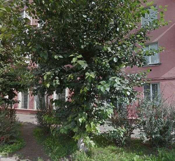 Банкомат Альфа-Банка по адресу ул. Краснодарская, д. 9, магазин «Красный Яр»