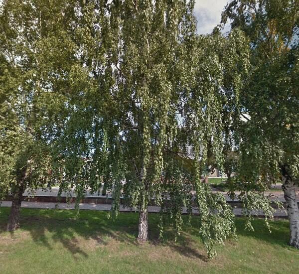 Отделение банка Рост по адресу пр. Мира, д. 19, стр. 1