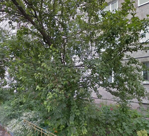 Отделение Почта Банка по адресу пер. Медицинский,  д. 41