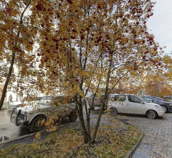 Отделение Абсолют Банка по адресу ул. Сурикова,  д. 6